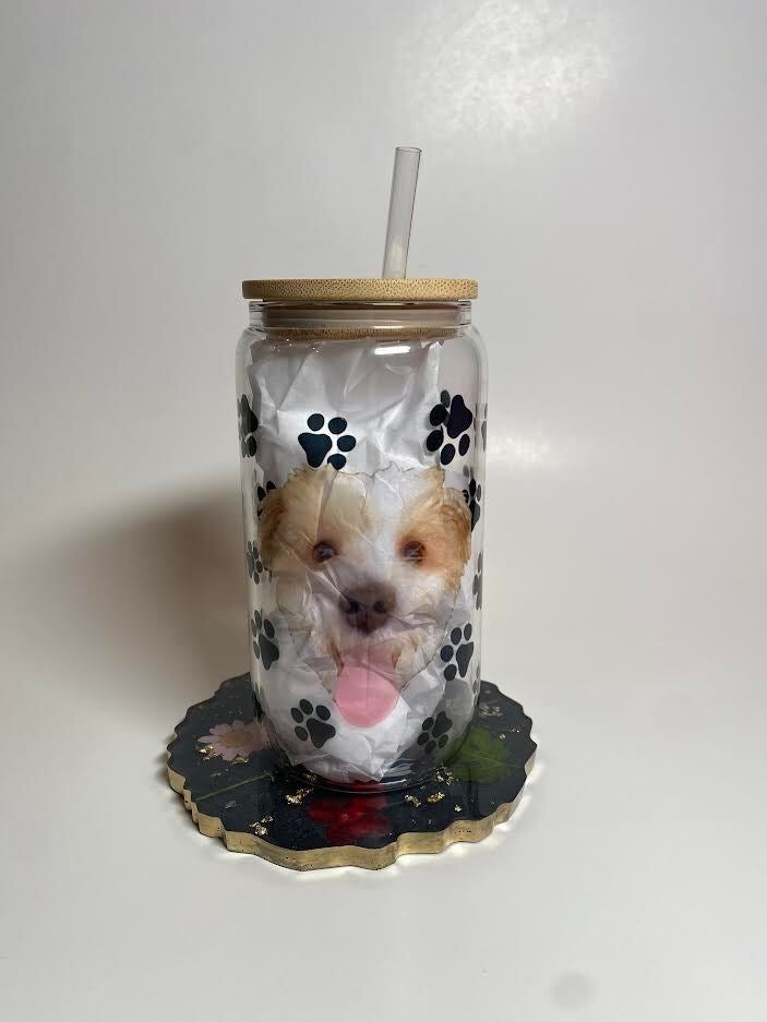 Glass pet outlet